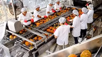 Doanh nghiệp Việt với cơ hội từ EVFTA