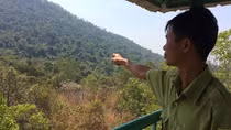 Những người nặng tình với rừng núi Cậu