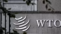 WTO và cuộc chiến thuế quan Mỹ-Trung