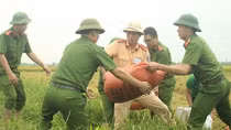 Bão lũ đi qua, tình người đượm lại