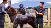 Trải nghiệm lạ ở Đoàn Kỵ binh