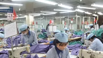 Doanh nghiệp Việt Nam cần làm gì để tận dụng ưu đãi từ EVFTA?