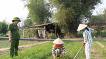 Những “bông hồng” gieo mầm thiện