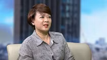 Doanh nghiệp bỏ trốn do thiếu cơ chế giám sát