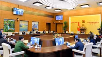 Tạm dừng thành lập, giải thể, điều chỉnh địa giới đơn vị hành chính cấp huyện, cấp xã