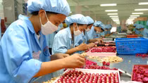 Chăm lo Tết cho công nhân lao động