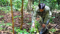 “Đại gia” dưới chân núi Ngọc Linh