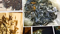 Tội ác mang tên… "đinh tặc"