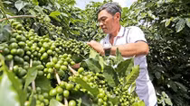 Bàn giải pháp giúp nông dân khởi nghiệp