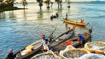 Miền Tây mênh mang mùa nước nổi lại về