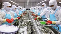 Quy định kiểm dịch có làm khó doanh nghiệp chế biến, xuất khẩu thuỷ sản?