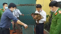 Người dân bàn giao cho Công an chú khỉ mặt đỏ