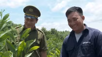 Không đơn độc trên đường hướng thiện