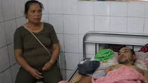 Bị ong vò vẽ tấn công, 11 người nhập viện