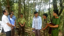 Tăng cường công tác tuyên truyền phòng, chống cháy rừng