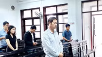 Điều tra bổ sung vụ án tàng trữ xác rùa biển với số lượng lớn nhất thế giới