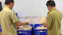 Phát hiện số lượng lớn găng tay y tế có dấu hiệu vi phạm