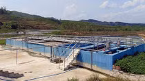 Xử lý dứt điểm ô nhiễm môi trường do trang trại heo