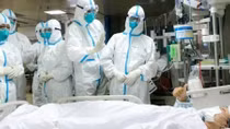 Hải Phòng thêm 5 trường hợp nghi nhiễm virus Corona