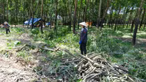 Vì sao Dự án Sân bay Long Thành mới giải ngân chỉ hơn 1%?