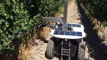 Những robot trên cánh đồng
