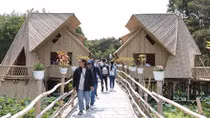 Cùng Thủy Tinh dạo quanh Thủ phủ Tràm