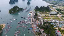 Thu hồi chủ trương nghiên cứu quy hoạch 7 dự án tại Khu kinh tế Vân Đồn