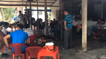 Phá trường gà bắt 23 đối tượng đang say sưa cá cược