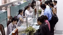 Chương trình tổng thể của Chính phủ về thực hành tiết kiệm, chống lãng phí