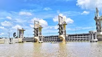 Vệ quốc Vĩnh Tế hà