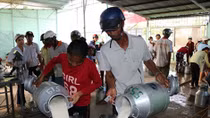 Nông dân Sóc Trăng tin tưởng, đồng hành cùng HTX bò sữa Evergrowth