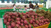 Thúc đẩy sản xuất nông sản trong nạn dịch virus Corona