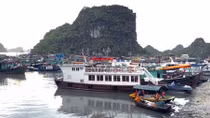 Hàng trăm tàu du lịch Quảng Ninh tiềm ẩn nguy cơ mất an toàn