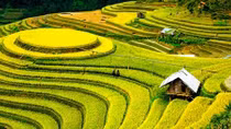 Dịp nghỉ lễ 2-9, tour nội địa ngắn ngày hút khách