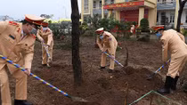 Cục CSGT phát động Tết trồng cây
