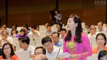 Bảo hiểm xã hội, bảo hiểm y tế bị nợ, trục lợi 