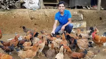 Phát động chương trình Về quê khởi nghiệp
