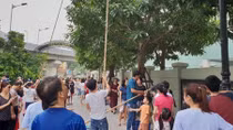 Cư dân Royal City và Times City phấn khích khi thu hoạch xoài