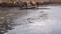 Cá ở hồ thủy điện Sông Tranh 2 bỗng nhiên chết trắng