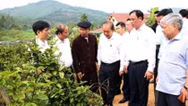 Phó Thủ tướng Thường trực thăm hộ đồng bào dân tộc Sán Dìu làm kinh tế giỏi