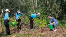 “Agribank - Vì tương lai xanh - Thêm cây, thêm sự sống”