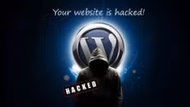 Nền tảng Wordpress dính lỗ hổng bảo mật nguy hiểm