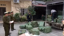 Chặn thực phẩm bẩn từ bên kia biên giới tràn vào nội địa