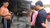 Cuộc chiến chống săn bắt, buôn bán động vật hoang dã: Đi chợ "địa ngục"