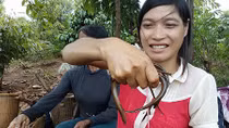 Chuyện vượt cạn của người Bahnar