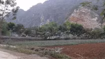 Hai em nhỏ trong một gia đình bi giết hại dã man ở Thanh Hóa