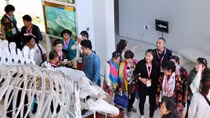 Quảng Ninh tung gói “kích cầu” du lịch trị giá 200 tỷ đồng
