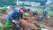 Chung tay giữ bình yên biên giới