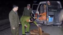 Ô tô vận chuyển 78 khúc gỗ nghiến