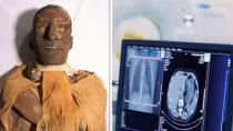 Phát hiện rùng rợn về cái chết của pharaoh Ai Cập
